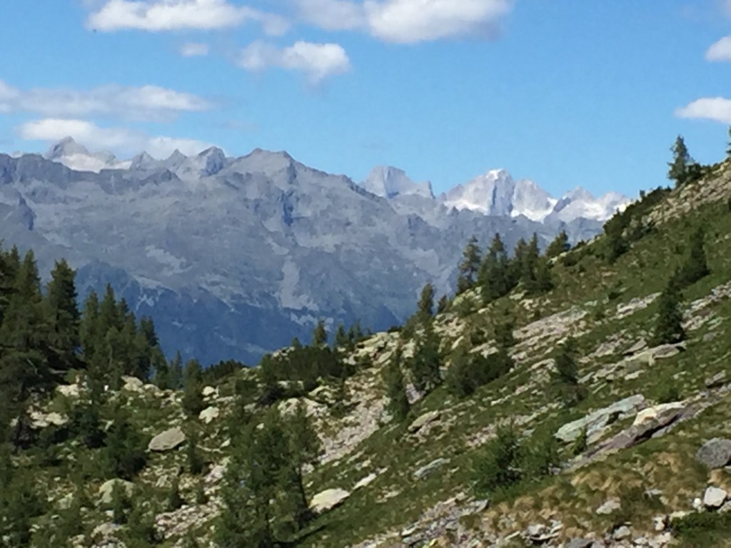 IL PROGETTO MEMORIA DELLE&nbsp;ALPI